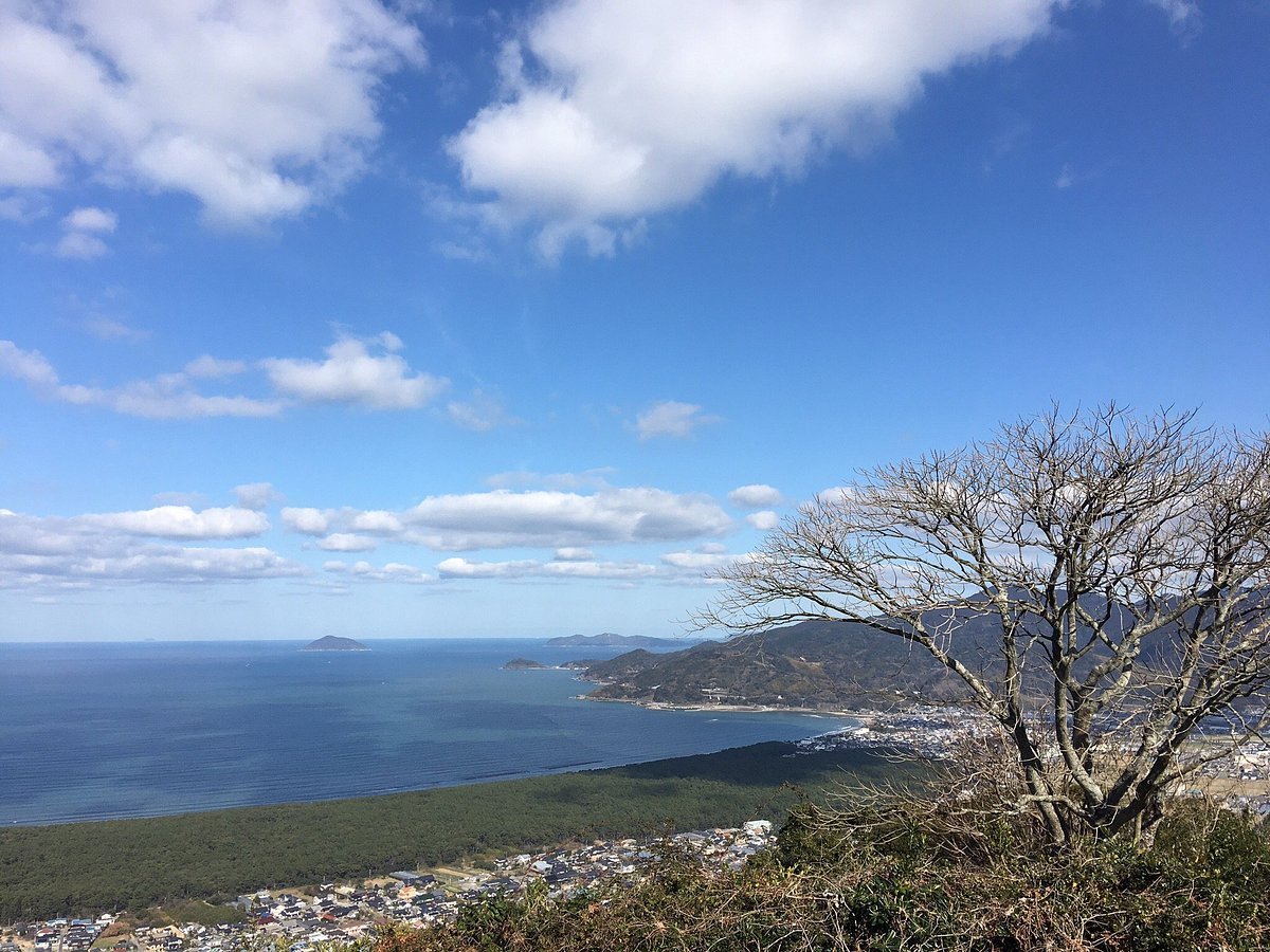 🌸 살구 마을 운동공원(안즈노사토 운동코엔) 이미지 7